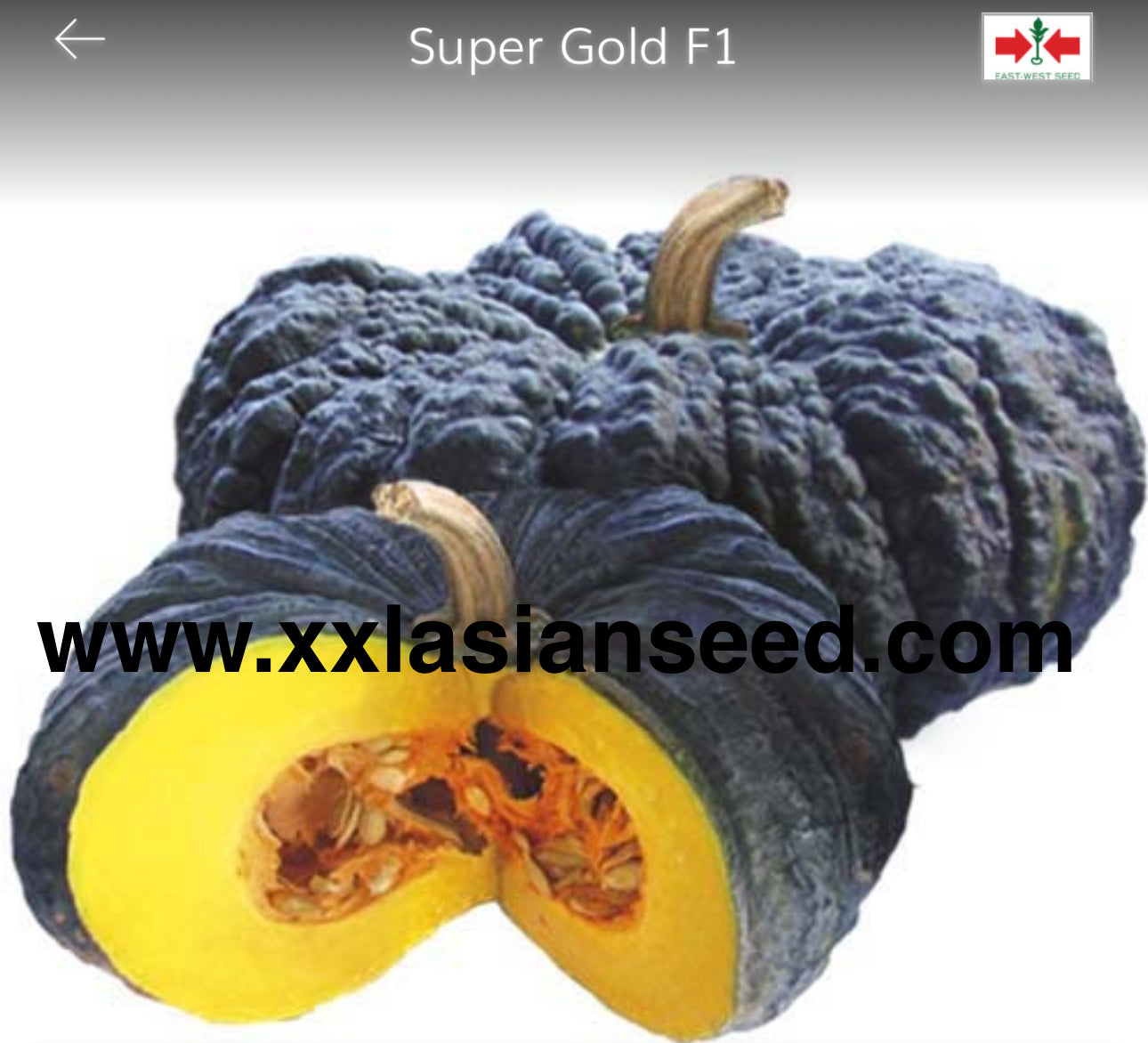 Pumpkin: Super Gold F1