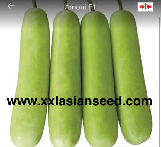 Bottle Gourd: Amani F1