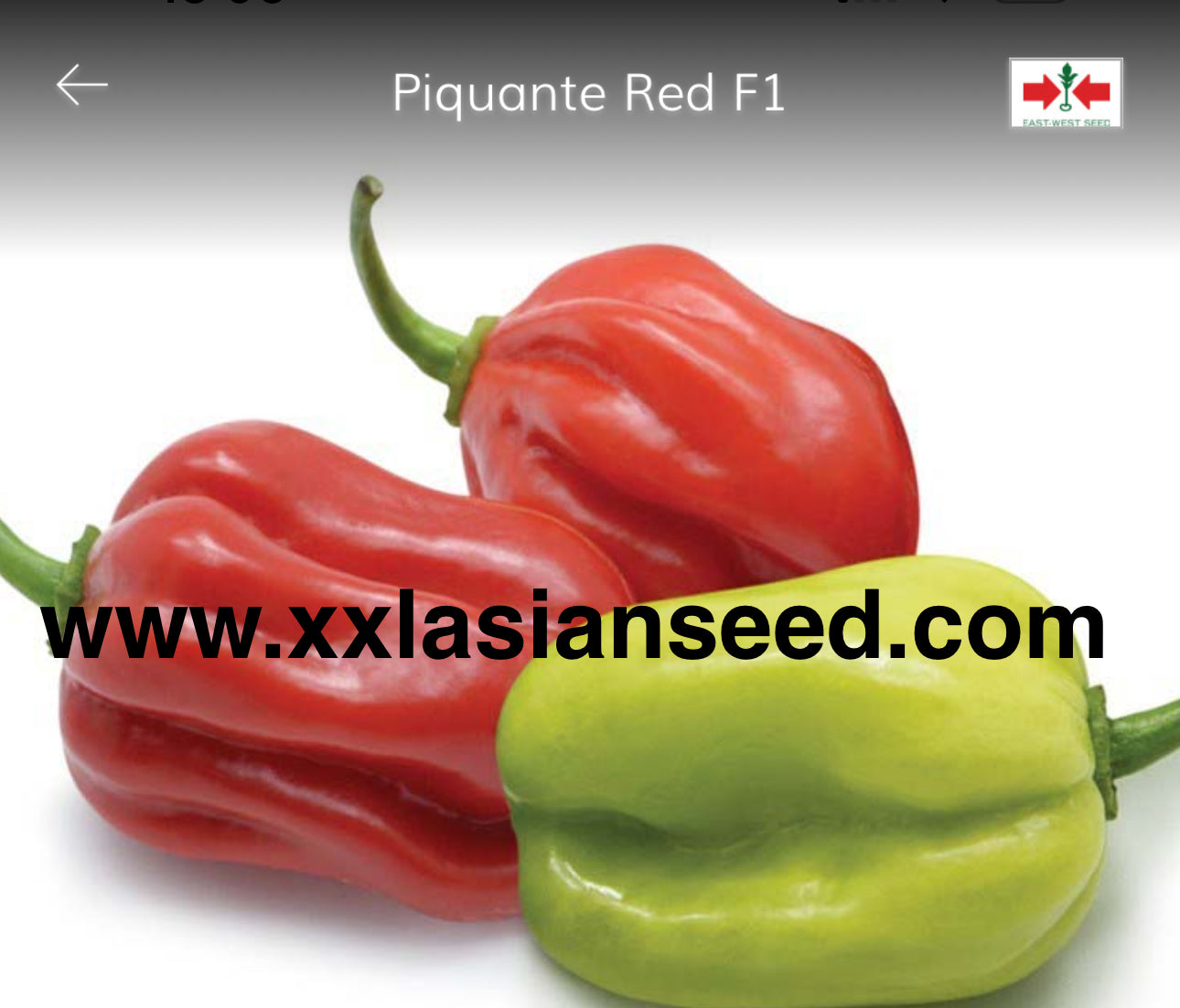 Piquante Red F1