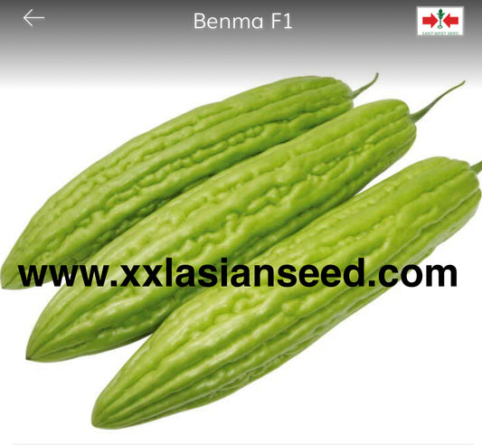 Benma F1