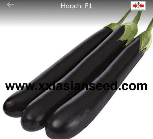 Haochi F1