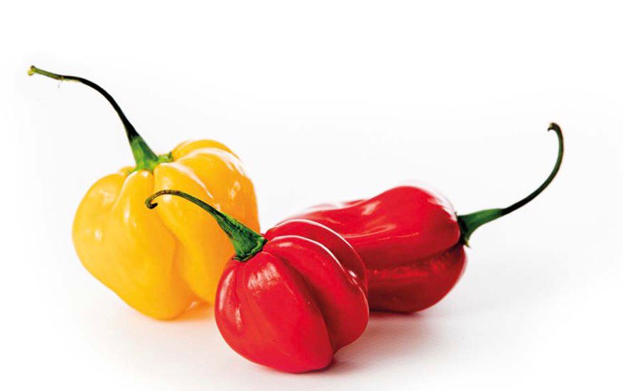 Habanero Red