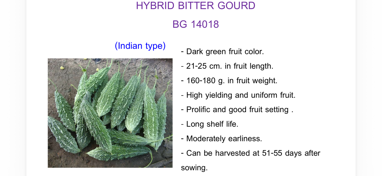 Indian Hybrid BitterGourd